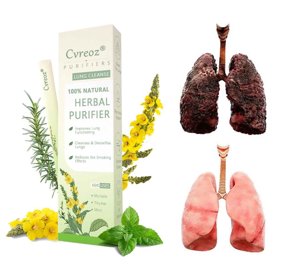 𝐶𝐯𝐫𝖾𝐨𝒛® 𝐌𝐮𝐥𝐥𝐞𝐢𝐧 𝐇𝐞𝐫𝐛𝐚𝐥 𝐋𝐮𝐧𝐠 𝐏𝐮𝐫𝐢𝐟𝐢𝐞𝐫🔥Purchase a second order at a 30% discount🔥